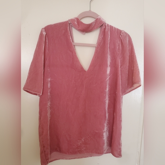 Paige Vintage Rose Velvet Cateline Top. - Picture 9 of 16